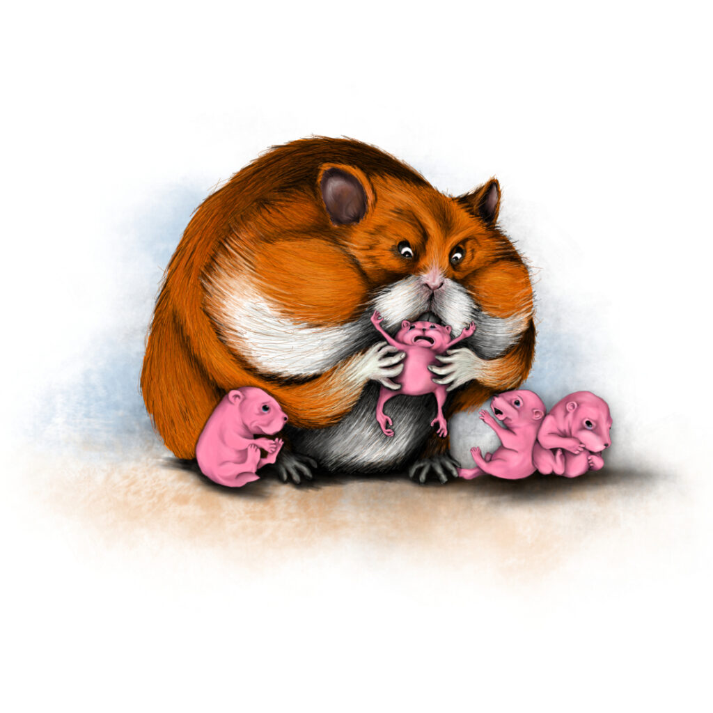 Illustrated character art print featuring a hamster and babies.