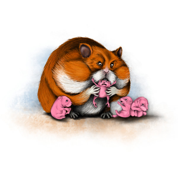 Illustrated character art print featuring a playful hamster.