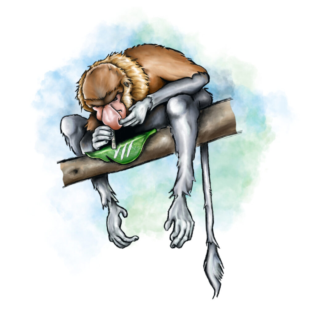Illustrated character art print featuring a proboscis monkey.