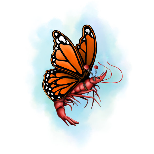 Illustrated character art print featuring a playful butterfly shrimp.