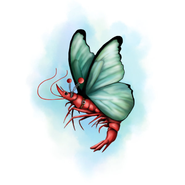 Illustrated character art print featuring a playful butterfly shrimp.
