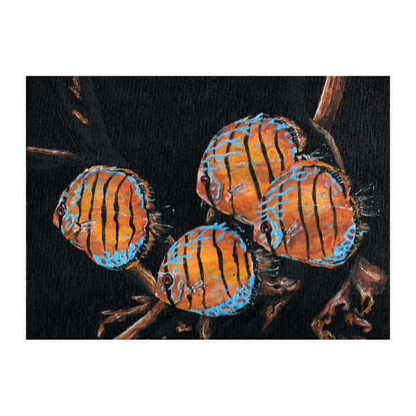 Hand painted art card featuring Discus fish