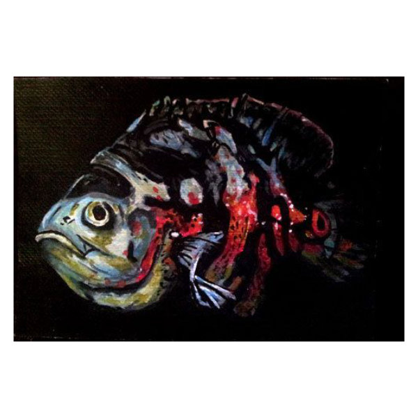 Hand painted art card featuring an Oscar cichlid fish