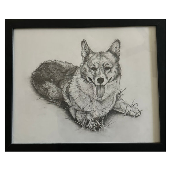 Original pencil sketch of a Corgi