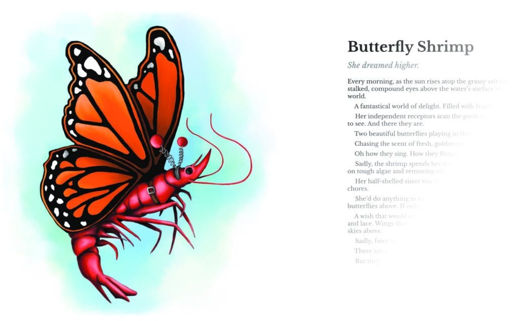 Interior book page for the Butterfly Shrimp Illustrated character.